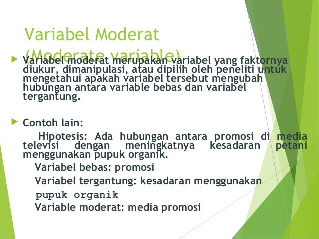 Variabel riset