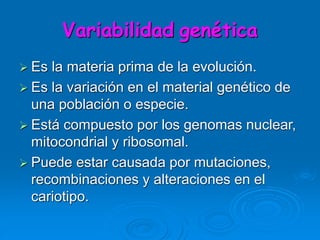 Variabilidad genética
 Es la materia prima de la evolución.
 Es la variación en el material genético de
una población o ...