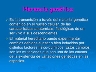 Herencia genética
 Es la transmisión a través del material genético
contenido en el núcleo celular, de las
característica...