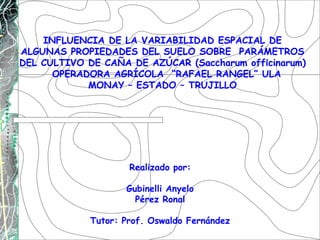 INFLUENCIA DE LA VARIABILIDAD ESPACIAL DE
ALGUNAS PROPIEDADES DEL SUELO SOBRE PARÁMETROS
DEL CULTIVO DE CAÑA DE AZÚCAR (Saccharum officinarum)
      OPERADORA AGRÍCOLA “RAFAEL RANGEL” ULA
            MONAY – ESTADO – TRUJILLO




                     Realizado por:

                    Gubinelli Anyelo
                      Pérez Ronal

             Tutor: Prof. Oswaldo Fernández
 