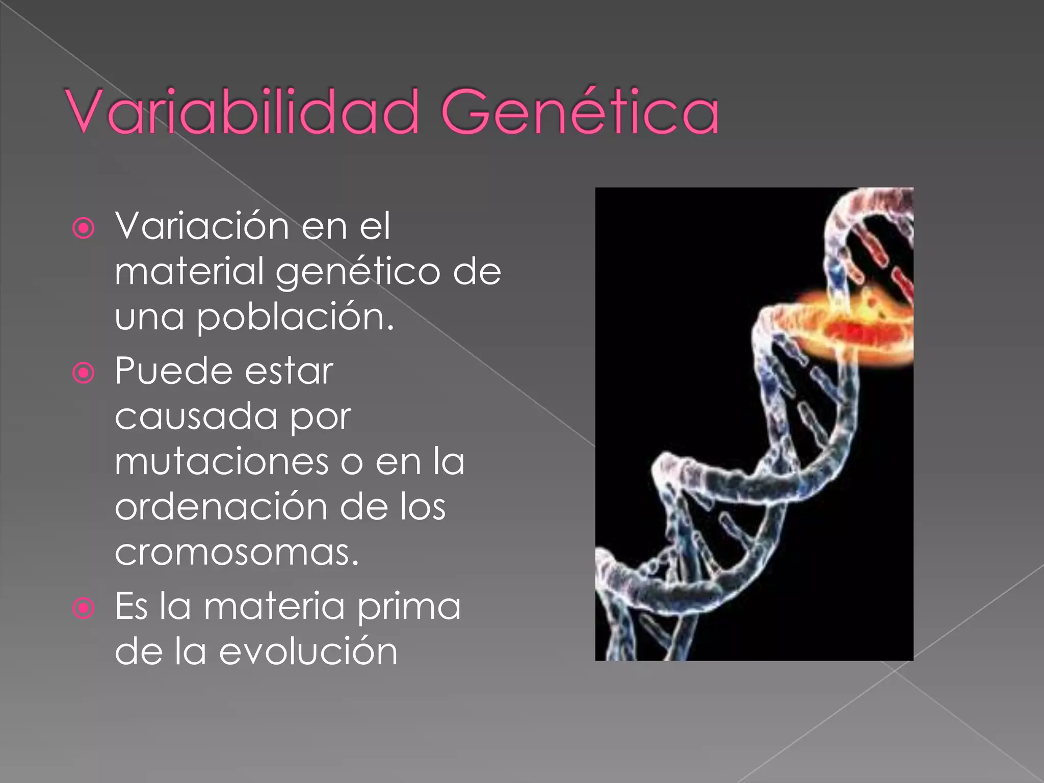Variabilidad GenéTica Y EvolucióN | PPTX