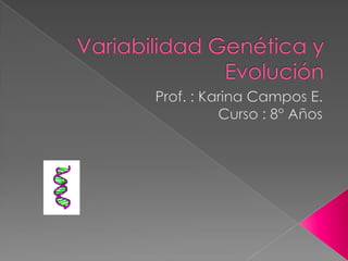 Variabilidad Genética y Evolución Prof. : Karina Campos E. Curso : 8° Años 
