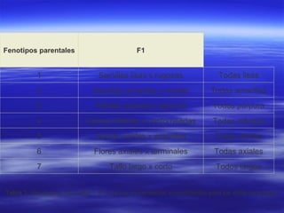 Tabla 1:  Resultados de la filial 1 (F1) de los cruzamientos monohíbridos para los siete caracteres.     Todos largos Tallo largo x corto 7 Todas axiales Flores axiales x terminales 6 Todas verdes Vainas verdes x amarillas 5 Todas infladas Vainas infladas x contorneadas 4 Todos púrpura Pétalos púrpura x blancos 3 Todas amarillas Semillas amarillas x verdes 2 Todas lisas Semillas lisas x rugosas 1 F1 Fenotipos parentales 