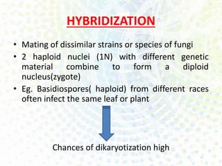 variability in fungi gdrh-170101063936 .pptx