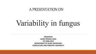 Variability in fungus
A PRESENTATION ON
PRESENTER
LAXMI PRASAD JOSHI
PLP-09M-2019
DEPARTMENT OF PLANT PATHOLOGY
AGRICULTURE AND FORESTRY UNIVERSITY
 