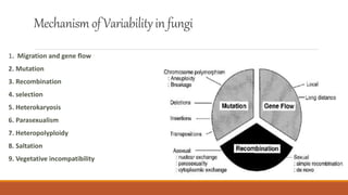Mechanismof Variabilityin fungi
1. Migration and gene flow
2. Mutation
3. Recombination
4. selection
5. Heterokaryosis
6. Parasexualism
7. Heteropolyploidy
8. Saltation
9. Vegetative incompatibility
 