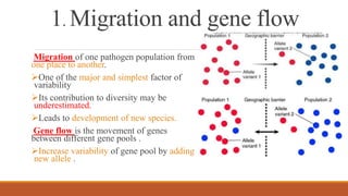 1. Migration and gene flow
Migration of one pathogen population from
one place to another.
One of the major and simplest factor of
variability
Its contribution to diversity may be
underestimated.
Leads to development of new species.
Gene flow is the movement of genes
between different gene pools .
Increase variability of gene pool by adding
new allele .
 