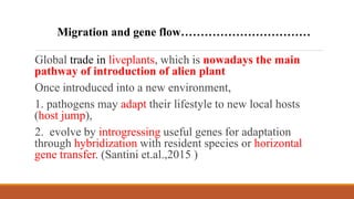 Global trade in liveplants, which is nowadays the main
pathway of introduction of alien plant
Once introduced into a new environment,
1. pathogens may adapt their lifestyle to new local hosts
(host jump),
2. evolve by introgressing useful genes for adaptation
through hybridization with resident species or horizontal
gene transfer. (Santini et.al.,2015 )
Migration and gene flow……………………………
 