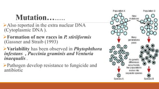 Mutation………
Also reported in the extra nuclear DNA
(Cytoplasmic DNA ).
Formation of new races in P. stiriiformis
(Gassner and Straib (1993)
Variability has been observed in Phytophthora
infestans , Puccinia graminis and Venturia
inaequalis .
Pathogen develop resistance to fungicide and
antibiotic
 