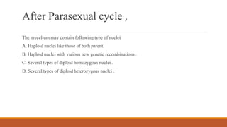 After Parasexual cycle ,
The mycelium may contain following type of nuclei
A. Haploid nuclei like those of both parent.
B. Haploid nuclei with various new genetic recombinations .
C. Several types of diploid homozygous nuclei .
D. Several types of diploid heterozygous nuclei .
 