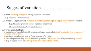 1. Genus :- Group of species having common characters.
E.g. Puccinia , Fusarium etc .
2. Species :- Organism with common morphological and phenotypic characters in common .
E.g. Puccinia graminis (cause stem rust of cereals),
Puccinia triticina , Puccinia stiriformis
3. Forma specials (f.sp) :-
Individual of morphologically similar pathogen species but attack particular host or group of
usually related hosts.
Most extensively used taxa in Fusarium and Puccinia .
Puccinia graminis f.sp. tritici , Puccinia graminis f.sp hordei, Puccinia graminis f.sp avenae .
 F.sp assigned based on pathogenicity test on particular host .
Stages of variation…………………
 