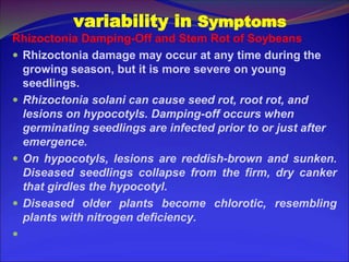 Variability in rhizoctonia solani from different host crops | PPT