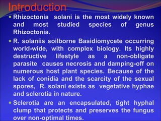 Variability in rhizoctonia solani from different host crops | PPT