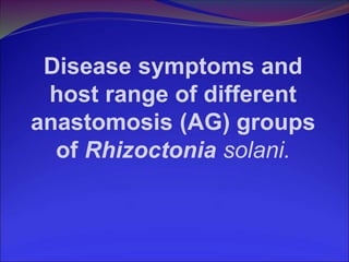 Variability in rhizoctonia solani from different host crops | PPT