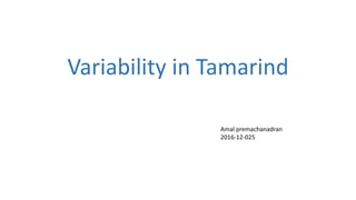 Variability in Tamarind
Amal premachanadran
2016-12-025
 