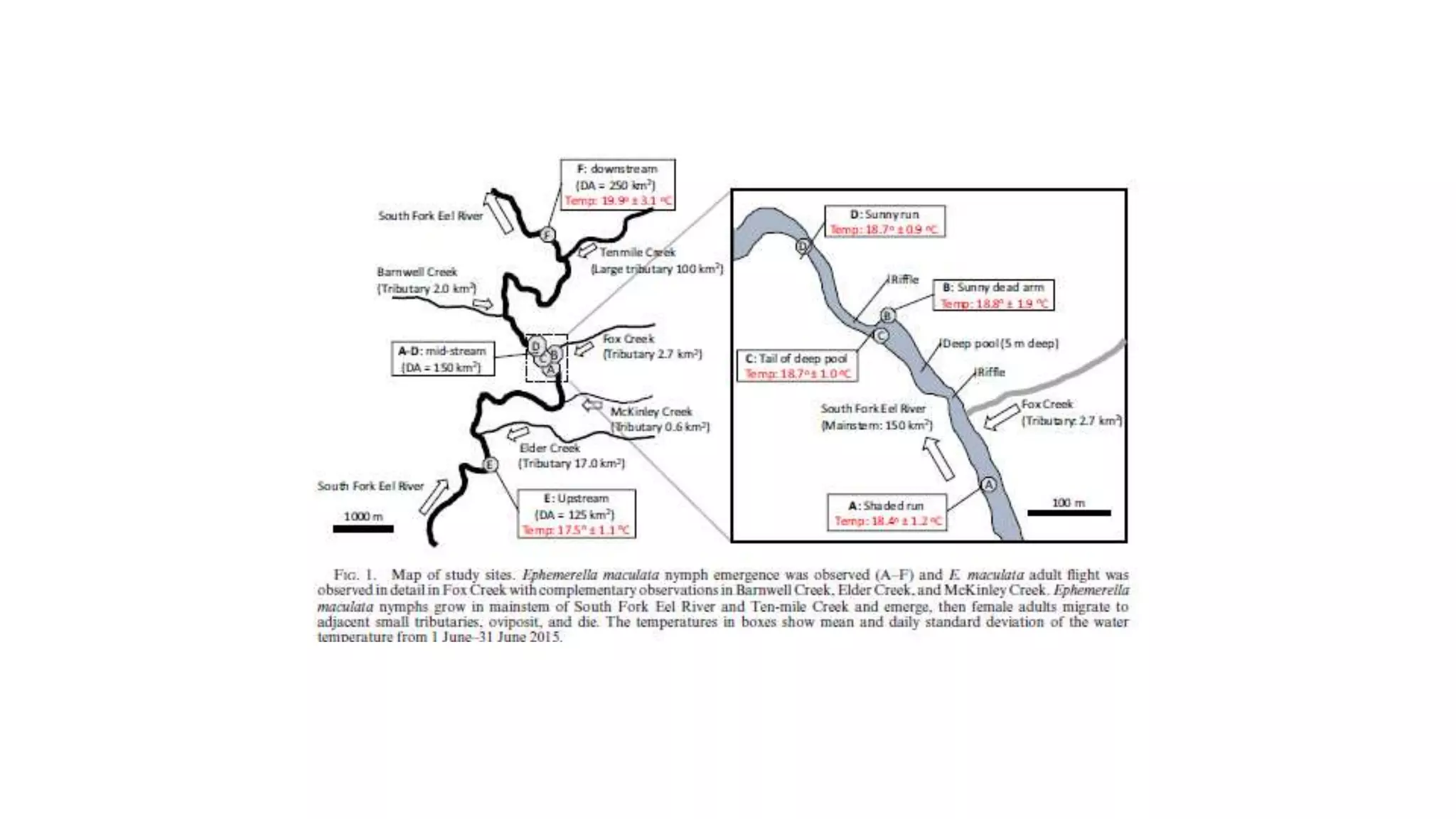 Variability and Organisms