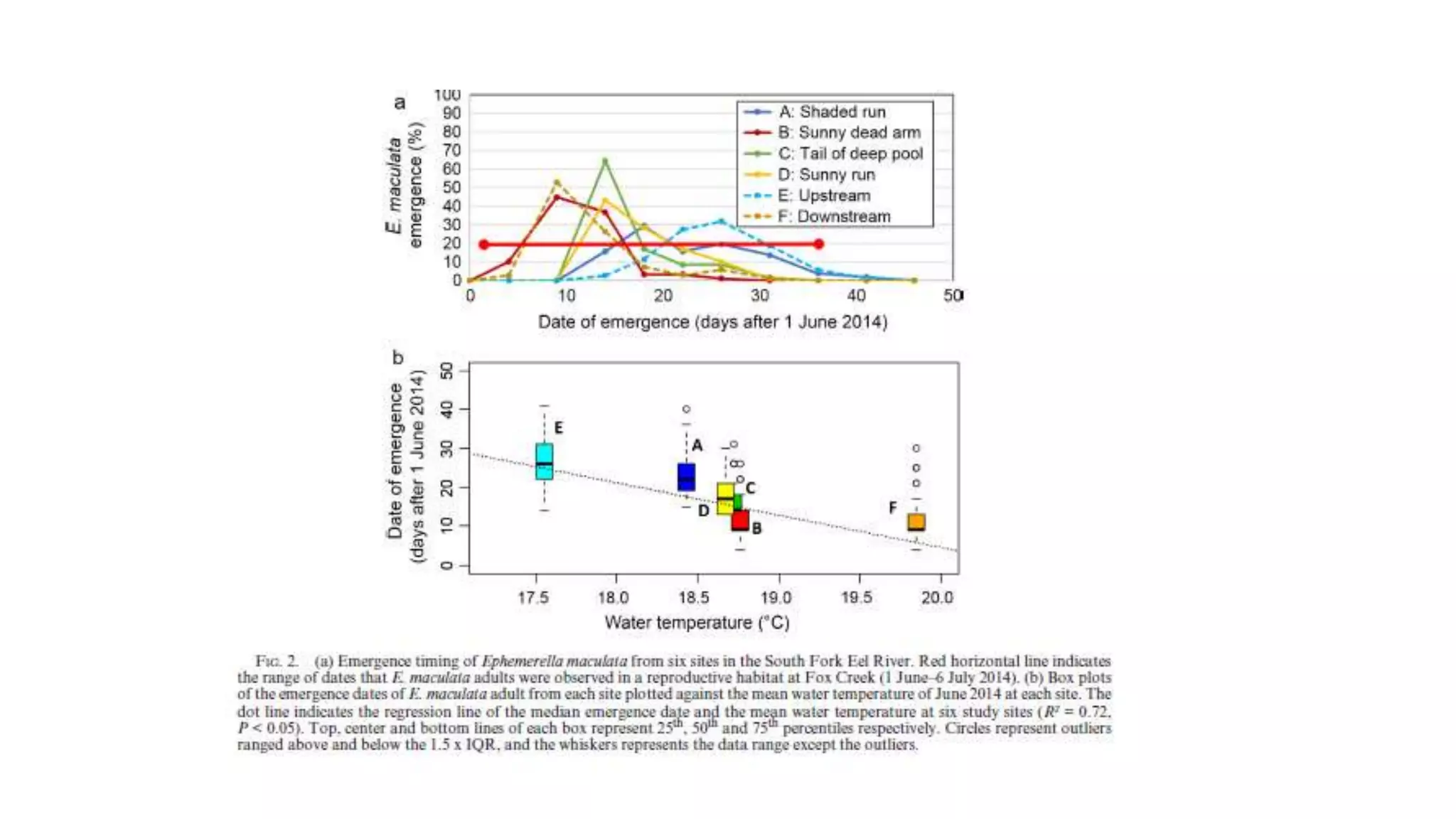 Variability and Organisms