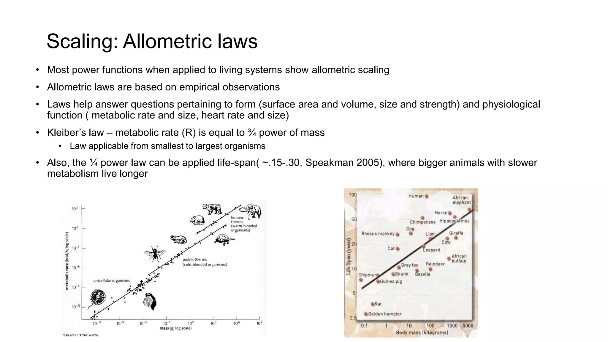 Scaling: Allometric laws
• Most power functions when applied to living systems show allometric scaling
• Allometric laws are based on empirical observations
• Laws help answer questions pertaining to form (surface area and volume, size and strength) and physiological
function ( metabolic rate and size, heart rate and size)
• Kleiber’s law – metabolic rate (R) is equal to ¾ power of mass
• Law applicable from smallest to largest organisms
• Also, the ¼ power law can be applied life-span( ~.15-.30, Speakman 2005), where bigger animals with slower
metabolism live longer
 