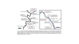 Variability and Organisms