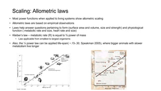Scaling: Allometric laws
• Most power functions when applied to living systems show allometric scaling
• Allometric laws are based on empirical observations
• Laws help answer questions pertaining to form (surface area and volume, size and strength) and physiological
function ( metabolic rate and size, heart rate and size)
• Kleiber’s law – metabolic rate (R) is equal to ¾ power of mass
• Law applicable from smallest to largest organisms
• Also, the ¼ power law can be applied life-span( ~.15-.30, Speakman 2005), where bigger animals with slower
metabolism live longer
 