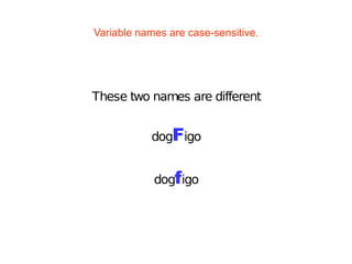 Variable names are case-sensitive.
These two names are different
dogFigo
dogfigo
 