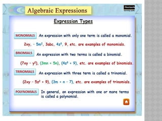 Constant Variable Example In Math variable and constant ppt of mathematics | PPTX