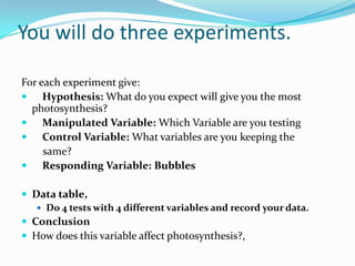 You will do three experiments.For each experiment give:    Hypothesis: What do you expect will give you the most photosynthesis?    Manipulated Variable: Which Variable are you testing    Control Variable: What variables are you keeping the         same?    Responding Variable: Bubbles Data table, Do 4 tests with 4 different variables and record your data. ConclusionHow does this variable affect photosynthesis?, 