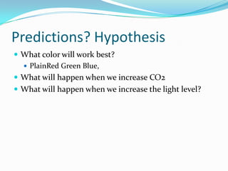 Predictions? HypothesisWhat color will work best?PlainRed Green Blue, What will happen when we increase CO2What will happen when we increase the light level?