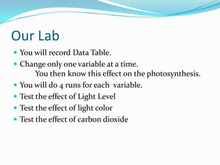 Our LabYou will record Data Table. Change only one variable at a time. You then know this effect on the photosynthesis. You will do 4 runs for each  variable. Test the effect of Light LevelTest the effect of light colorTest the effect of carbon dioxide