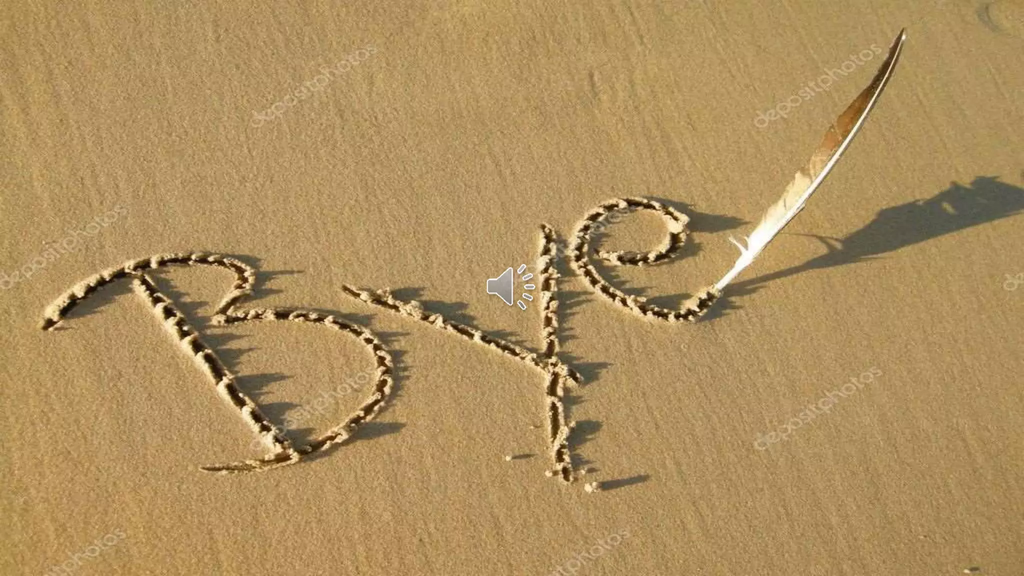 Variables المتغيرات في سي شارب 