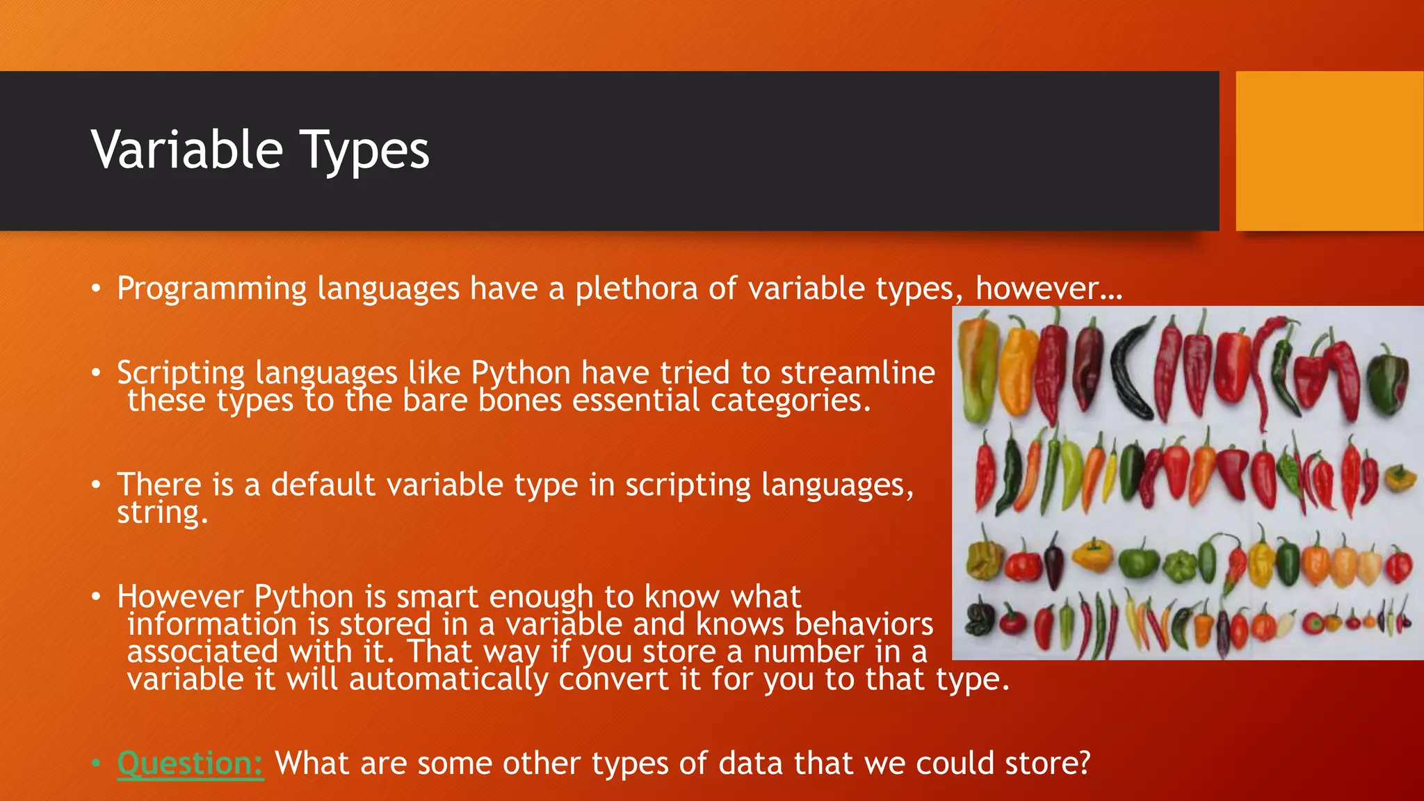 Variables and Statements | PPTX | Programming Languages | Computing