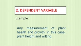 Variables Plant Example VARIABLES AND THEIR USES.pptx