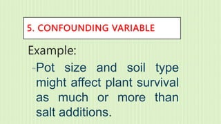 Variables Plant Example VARIABLES AND THEIR USES.pptx