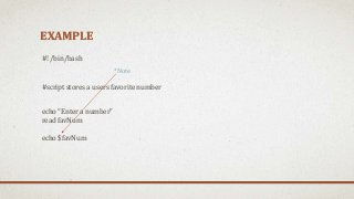 Variables and User Input