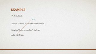Variables and User Input