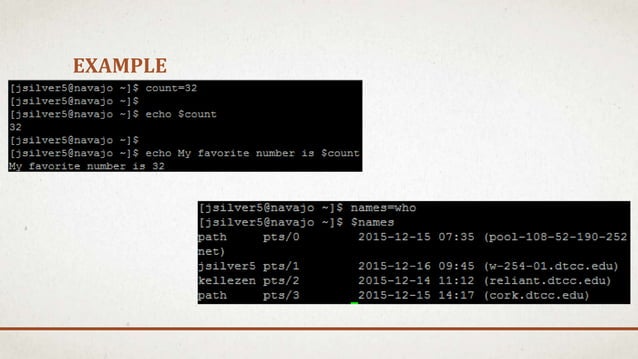 Variables and User Input | PPT