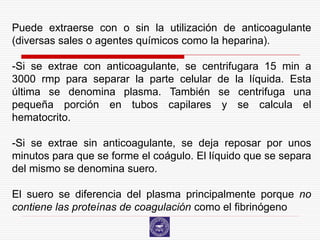 Puede extraerse con o sin la utilización de anticoagulante
(diversas sales o agentes químicos como la heparina).

-Si se extrae con anticoagulante, se centrifugara 15 min a
3000 rmp para separar la parte celular de la líquida. Esta
última se denomina plasma. También se centrifuga una
pequeña porción en tubos capilares y se calcula el
hematocrito.

-Si se extrae sin anticoagulante, se deja reposar por unos
minutos para que se forme el coágulo. El líquido que se separa
del mismo se denomina suero.

El suero se diferencia del plasma principalmente porque no
contiene las proteínas de coagulación como el fibrinógeno
 