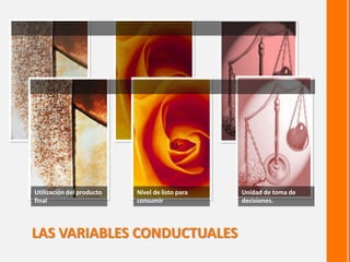Utilización del producto 
final 
Nivel de listo para 
consumir 
Unidad de toma de 
decisiones. 
LAS VARIABLES CONDUCTUALES 
 