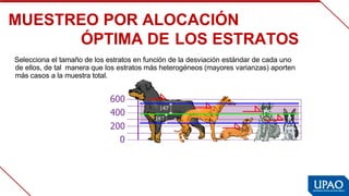 MUESTREO POR ALOCACIÓN 
ÓPTIMA DE  
LOS ESTRATOS
Selecciona el tamaño de los estratos en función de la  
desviación estándar de cada uno 
de ellos, de tal  manera que los estratos más heterogéneos (mayores  
varianzas) aporten 
más casos a la muestra total.
 