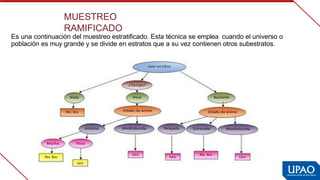 MUESTREO 
RAMIFICADO
Es una continuación del muestreo estratificado. Esta técnica se emplea  cuando el universo o 
población es muy grande y se divide en estratos que a  
su vez contienen otros subestratos.
 