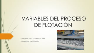 VARIABLES DEL PROCESO
DE FLOTACIÓN
Procesos de Concentración
Profesora: Erika Plaza
 