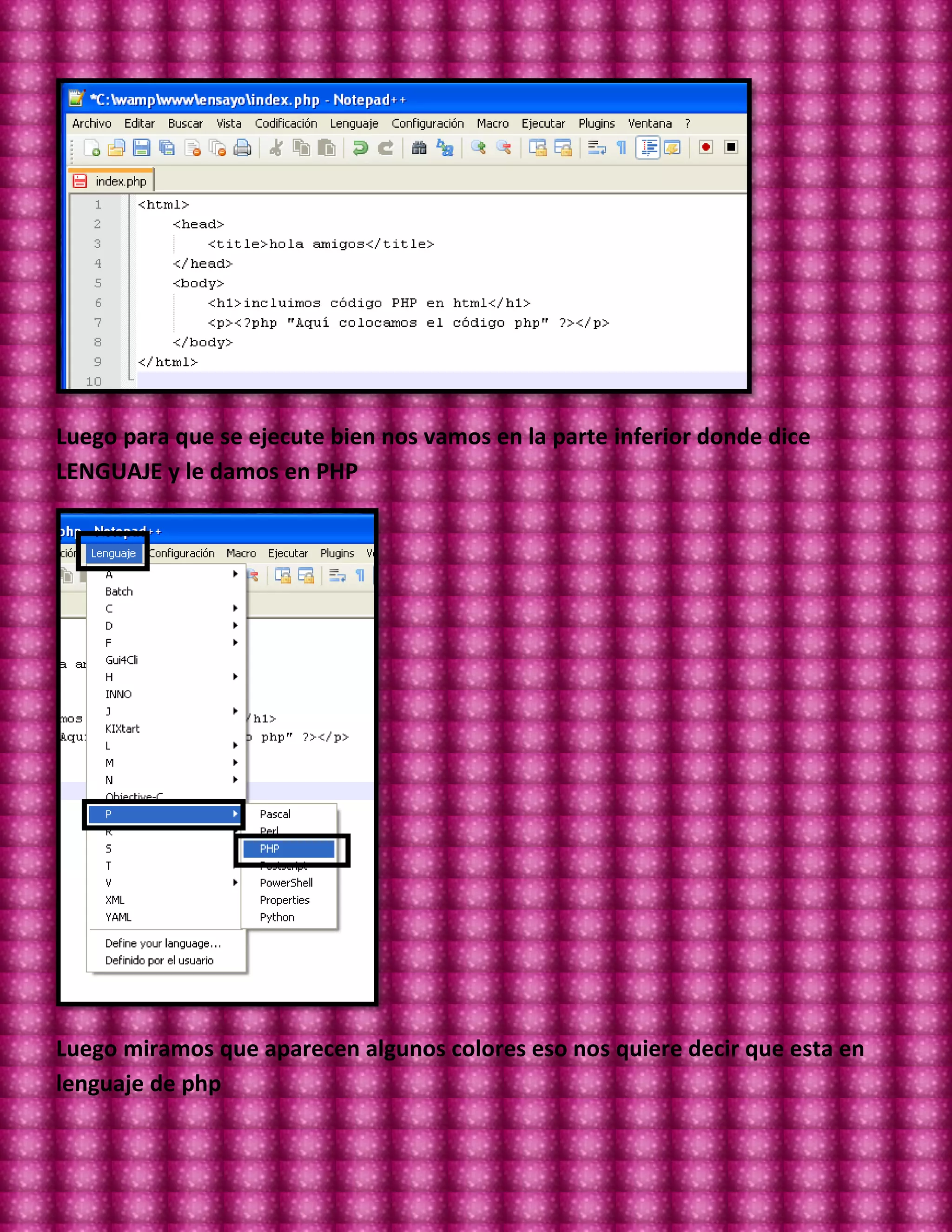 Luego para que se ejecute bien nos vamos en la parte inferior donde dice
LENGUAJE y le damos en PHP




Luego miramos que aparecen algunos colores eso nos quiere decir que esta en
lenguaje de php
 