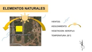 ELEMENTOS NATURALES
VIENTOS:
ASOLEAMIENTO:
VEGETACION: XEROFILA
TEMPERATURA: 28°C
 