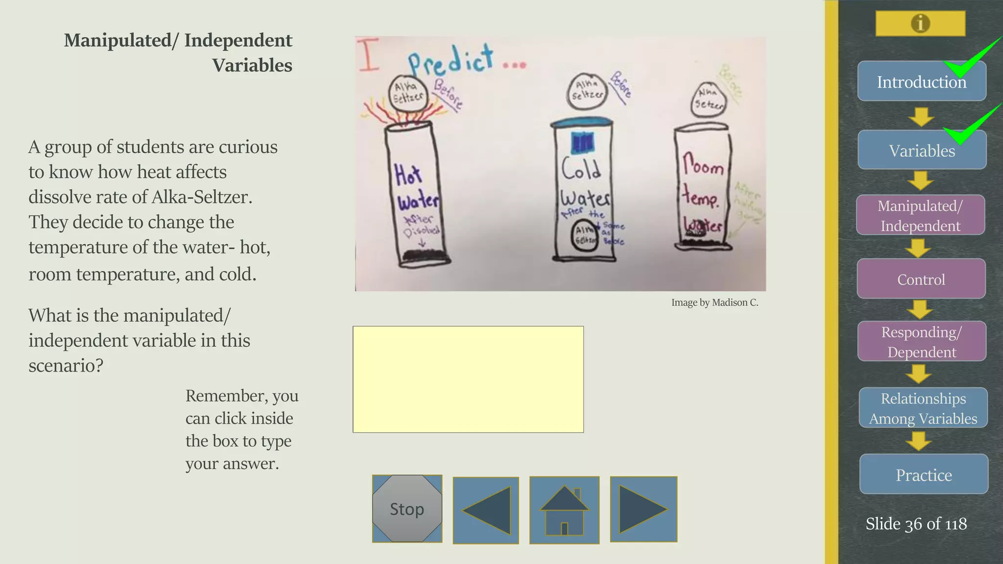 Variables
Manipulated/
Independent
Control
Responding/
Dependent
Relationships
Among Variables
Practice
Slide 36 of 118
Stop
Introduction
Manipulated/ Independent
Variables
A group of students are curious
to know how heat affects
dissolve rate of Alka-Seltzer.
They decide to change the
temperature of the water- hot,
room temperature, and cold.
What is the manipulated/
independent variable in this
scenario?
Remember, you
can click inside
the box to type
your answer.
Image by Madison C.
 