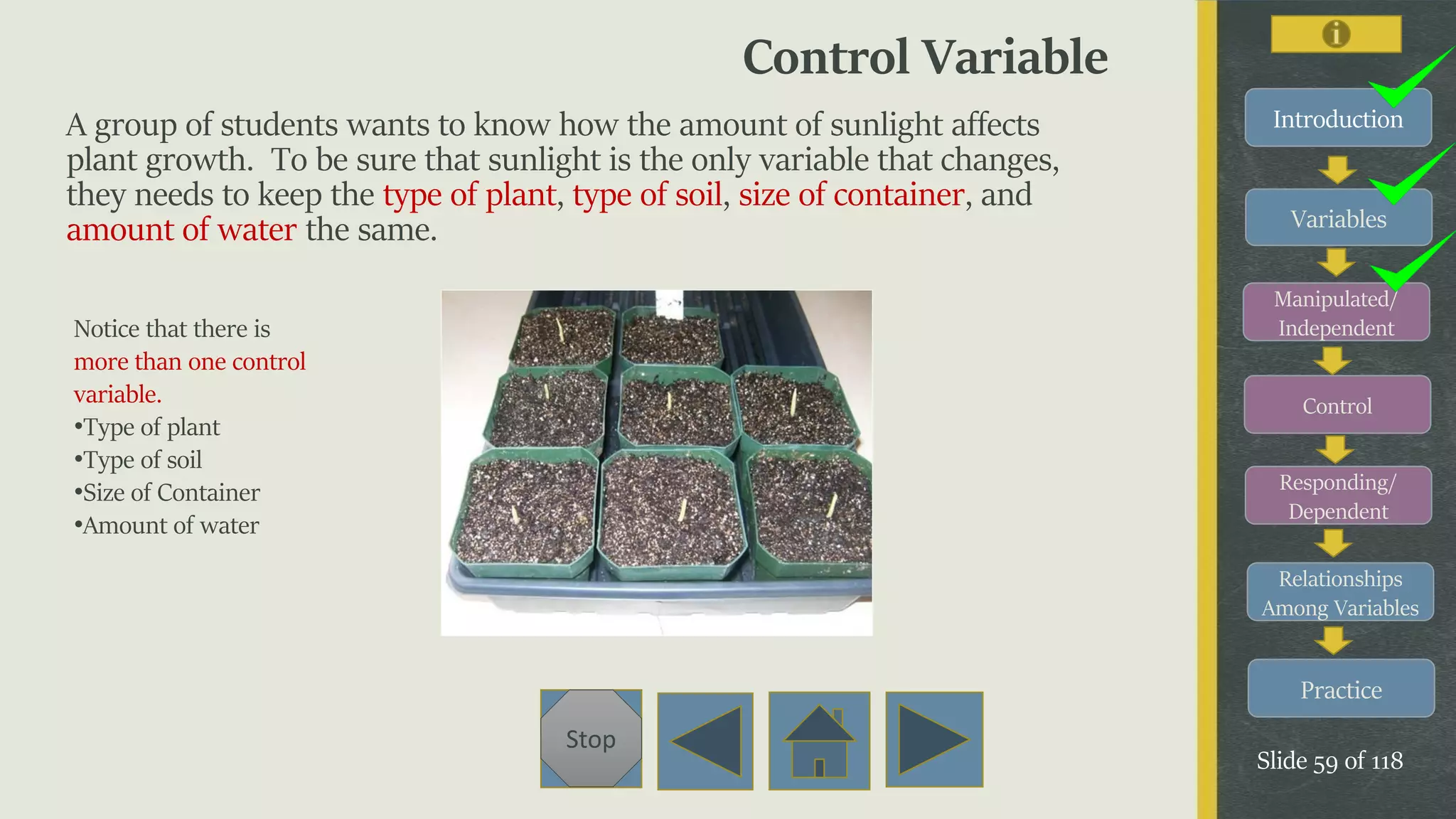 Variables
Manipulated/
Independent
Control
Responding/
Dependent
Relationships
Among Variables
Practice
Slide 59 of 118
Stop
Introduction
Control Variable
A group of students wants to know how the amount of sunlight affects
plant growth. To be sure that sunlight is the only variable that changes,
they needs to keep the type of plant, type of soil, size of container, and
amount of water the same.
Notice that there is
more than one control
variable.
•Type of plant
•Type of soil
•Size of Container
•Amount of water
 