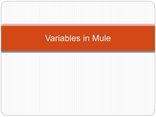 Variables in Mule
 