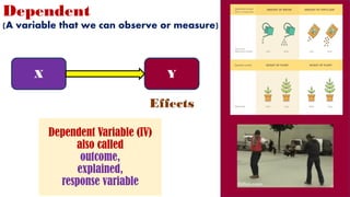 Dependent
(A variable that we can observe or measure)
Effects
X Y
Dependent Variable (IV)
also called
outcome,
explained,
response variable
 