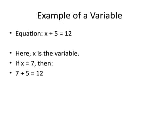 Understanding Variables in Mathematics: A Beginner's Guide to Algebraic ...