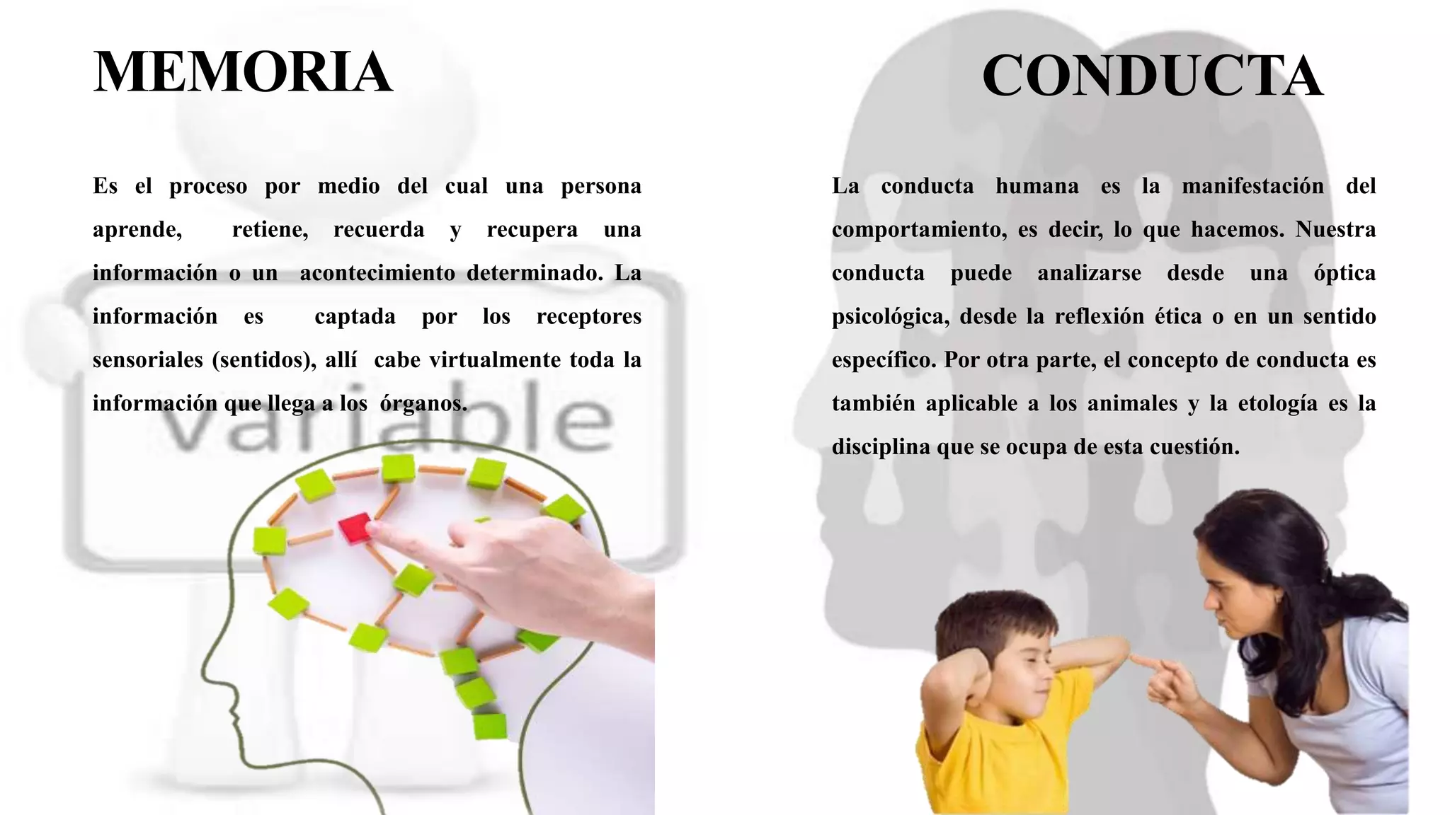 MEMORIA
Es el proceso por medio del cual una persona
aprende, retiene, recuerda y recupera una
información o un acontecimiento determinado. La
información es captada por los receptores
sensoriales (sentidos), allí cabe virtualmente toda la
información que llega a los órganos.
CONDUCTA
La conducta humana es la manifestación del
comportamiento, es decir, lo que hacemos. Nuestra
conducta puede analizarse desde una óptica
psicológica, desde la reflexión ética o en un sentido
específico. Por otra parte, el concepto de conducta es
también aplicable a los animales y la etología es la
disciplina que se ocupa de esta cuestión.
 