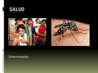 SALUD
Enfermedades
 